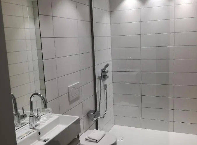 Habitación Deluxe con 2 Camas Individuales